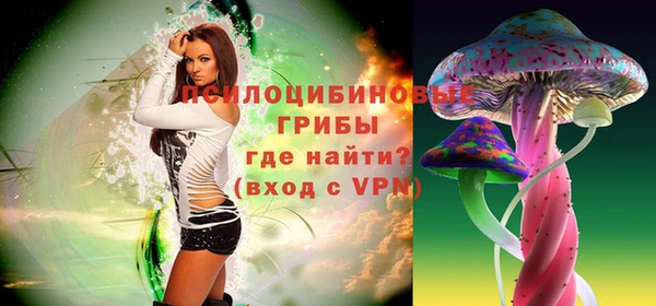 мяу мяу кристалл Бикин