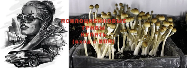 MESCALINE Бородино