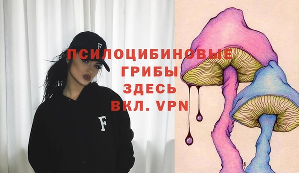MESCALINE Бородино