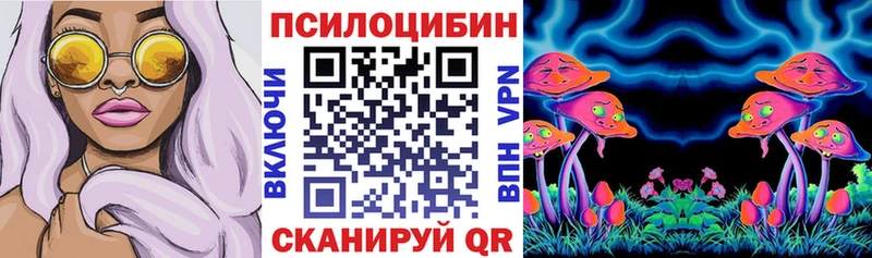 Псилоцибиновые грибы Psilocybe  наркота  Вельск 